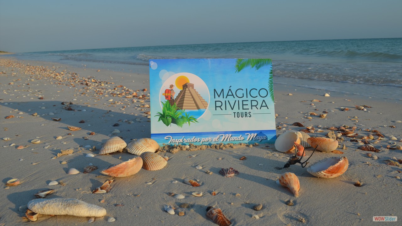 1 Tours Magico Riviera